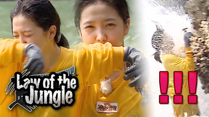 Law of the Jungle